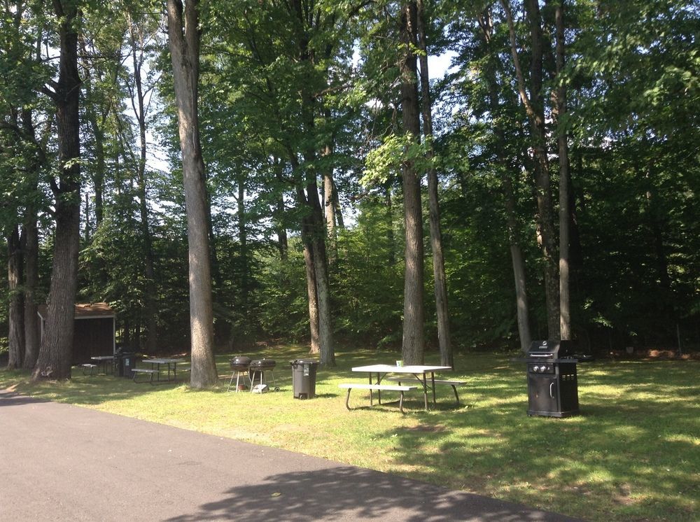 Robin Hood Motel サラトガスプリング エクステリア 写真