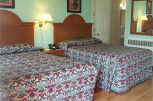 Robin Hood Motel サラトガスプリング 部屋 写真